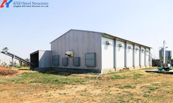 Commercial Poultry House Steel Structure with Feeding and Drinking Systems