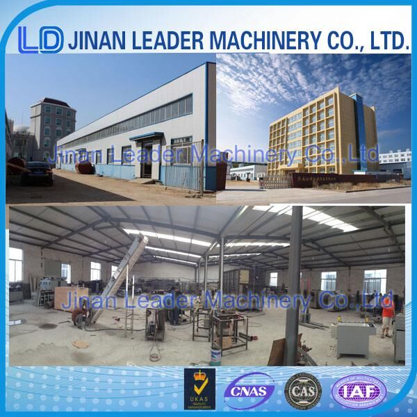 Double Screw extruder pet dog fish food making machine