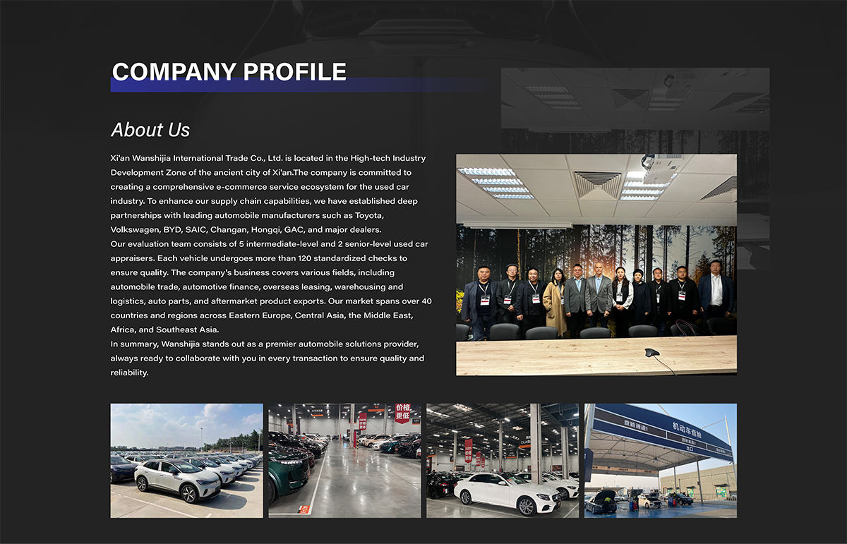 Xian Wanshijia International Trading Co., Ltd.