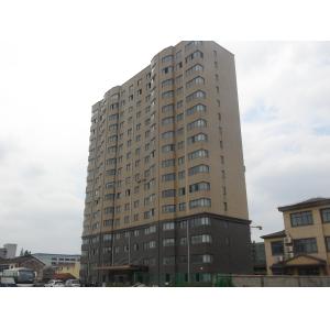 Shanghai Yinma Marking Co., Ltd.