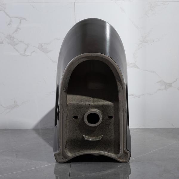 Matt Black One-Piece Compact Elongated Dual-Flush Toilet With Skirted Trapway