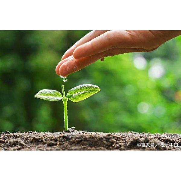 17-0-0 acide aminé soluble dans l'eau de Biostimulants de poudre d'acide aminé de la matière organique 50%