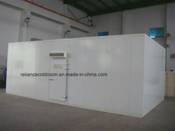 Nature Distribution 10 Low Temperature Cold Storage/Freezer Room for Meat and Fishes