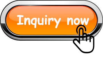 04286363 0428 6363 1013 Motor para actuador eléctrico de 12 V