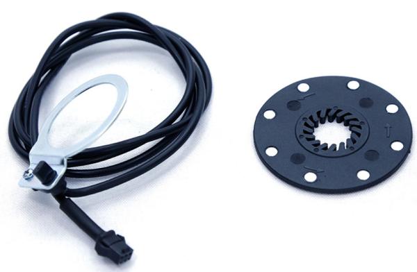 High Torque E Bike Dc Hub Motor Electric Bike Conversion Kit 20 Inch Wheel Size
