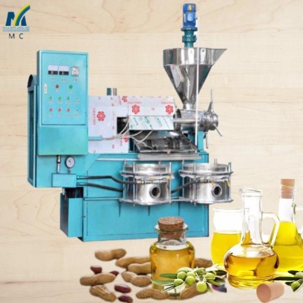 Screw Squeezed Press Method Small Household Spiral Oil Press Machine for Peanut Oil