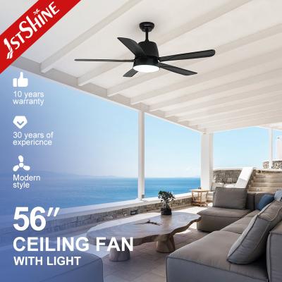 6 Speeds Remote Control Quiet DC Motor Decorative 5 Blades Ceiling Fan With Light