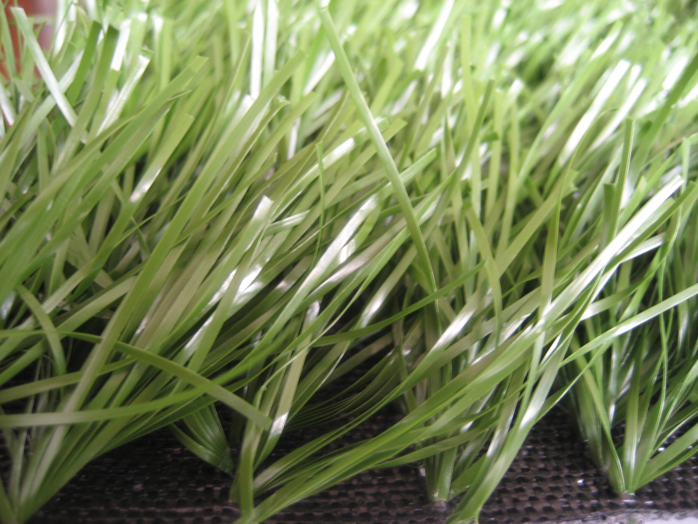 PP + Net Backing Cloth Football Artificial Grass , Soccer Field Turf High Density 10500