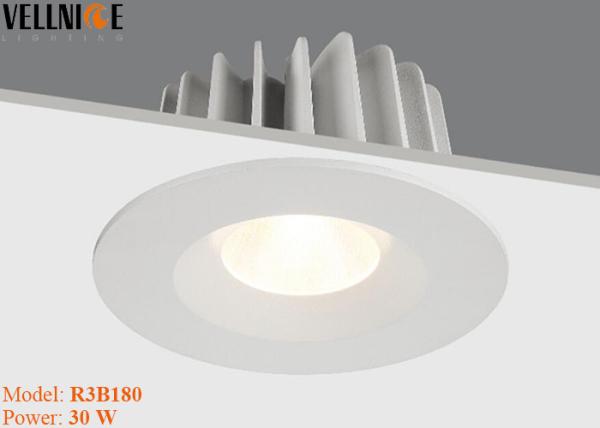 30W Adjust High Lumen LED Down Light Fixture , 30 Degree Tilt Outdoor Led Lighting