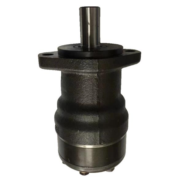 Danfoss Hydraulic Pump OMRX20011186665 Lower Total Cost Of Ownership High Starting Torque High Torque