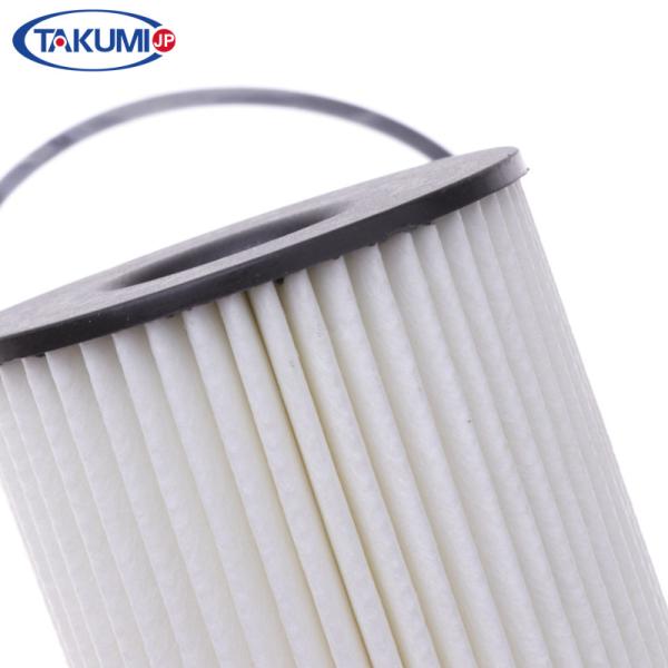 customized Oil Filter Element For BMW 11427583220