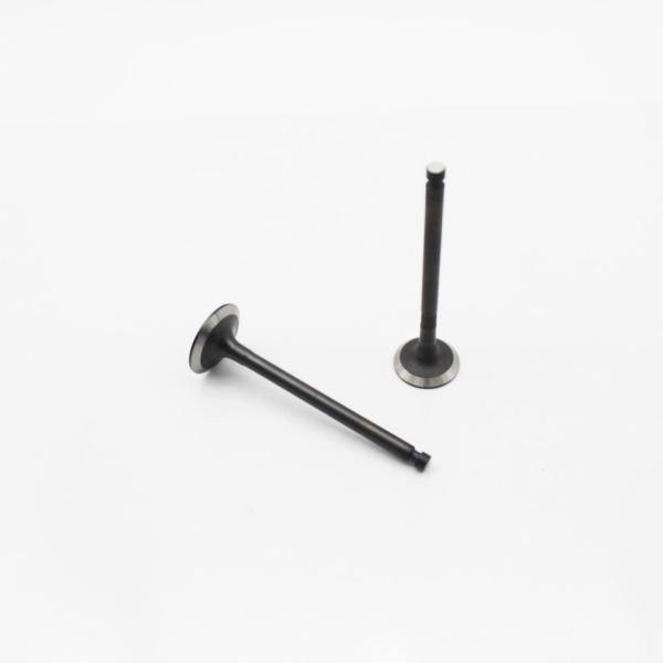 Выпускные золотники входа 4TNV94 4TNV98, 129907-11100 частей экскаватора YANMAR