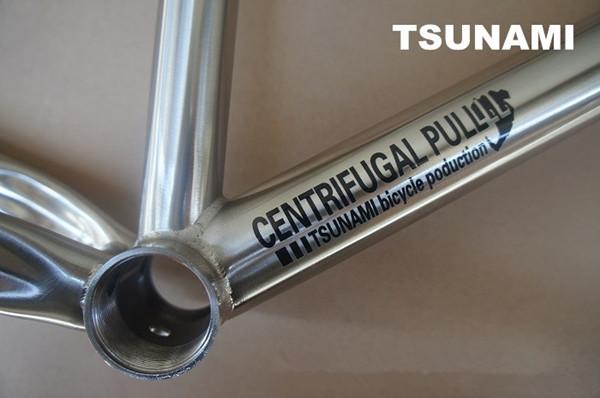 26er Chromolly Steel Dirtjump Frame Slope Style CR520 Titanium Chromed 12.5 Disc Brake