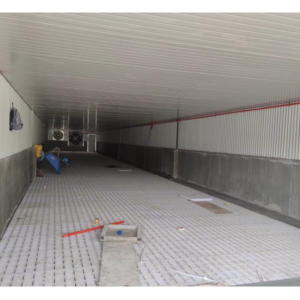 RG Professional Industrial Design Style Steel Pig Farm Equipment One-Stop Hot Selling for Farmhouses