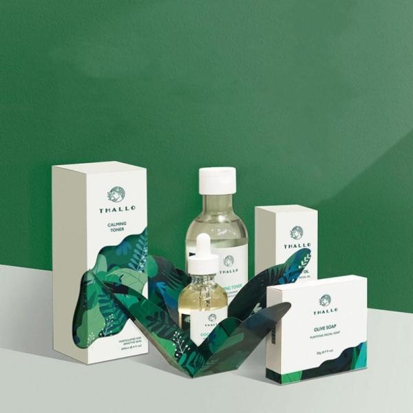 Caixa de papel cosmética biodegradável de ECO que empacota GV EN13432