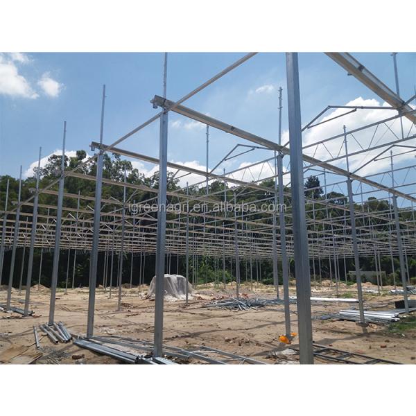 Smart Greenhouse with Customized Length and Hot Dipped Galvanized Steel Frame Featuring Roof and Side Vents