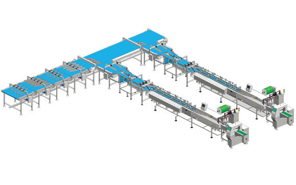 One-to-two Dual Channel Automatic Material Sorting and Packaging Line