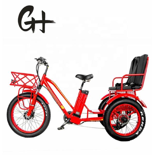 Bafang 750W Motor Electric Tricycle with Fat Tire E Three Wheels and Passenger Seat