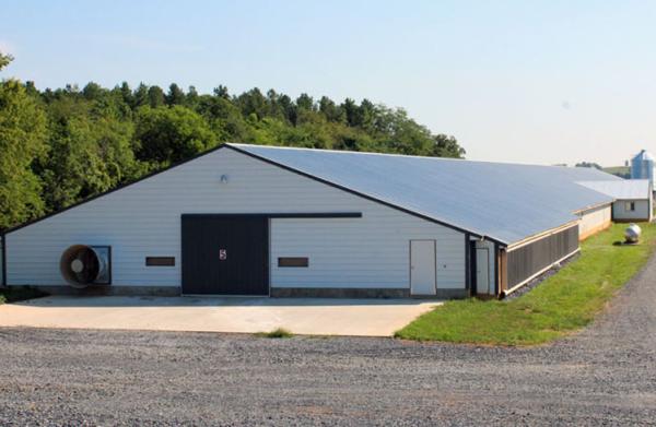 Prefabricated Steel Poultry House with 10 Year Warranty, Customizable Design & Zn-Al-Mg Coating