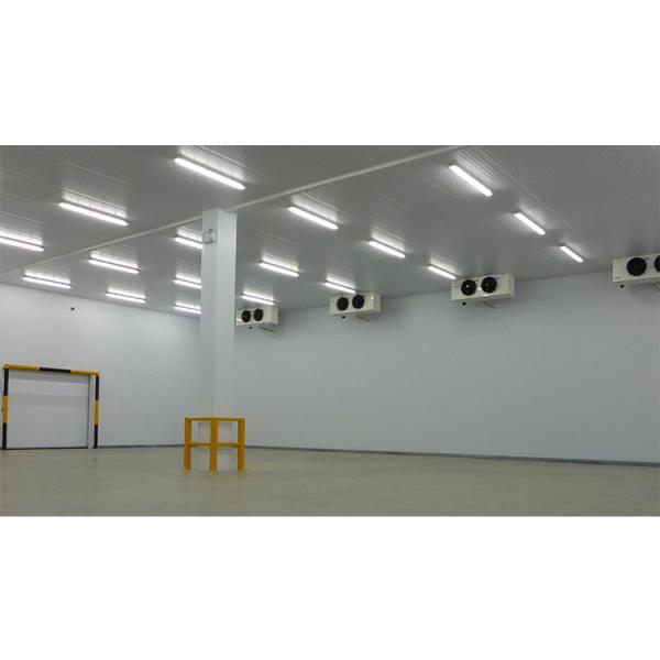Good Quality Small Cold Storage Room for Fish Meat