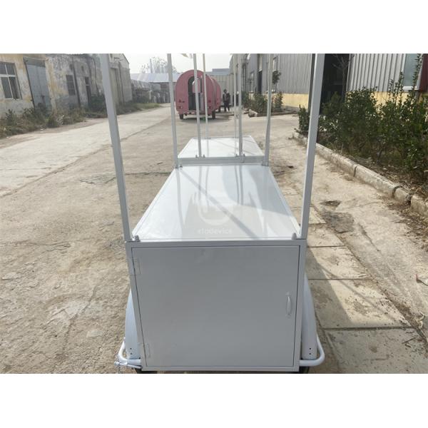 Small Portable Electric cart Cold Plate Push Umbrella Outdoor Mini Wheel Supermarket  Cart