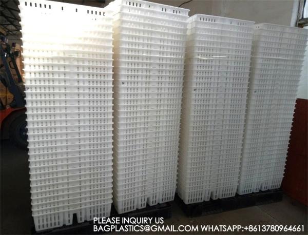 sustainable white chicken cage 680*490*160mm Virgin PP Transportation Chicken Cage