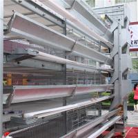 Système de cage de batterie d'oiseaux du cadre 256 de H dans le nettoyage automatique de ferme avicole