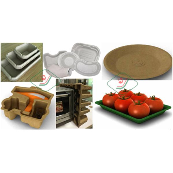 Semi - Automatic Stainless Steel Pulp Molding Equipment For Plates / Bowls / Cups