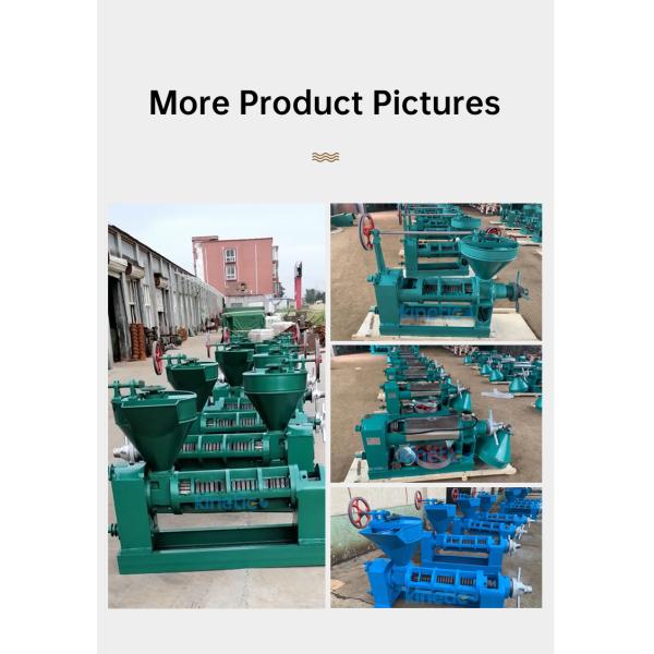 KG Industrial Oil Extractor High Oil Yield Cold Pressed Rosehip Oil Press Automatic Moringa Oil Pressers Pressing Machine