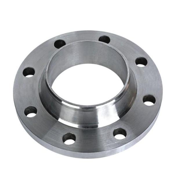 SS310 904L Stainless Steel Flanges , Industry Forged Pipe Fittings Black Painting