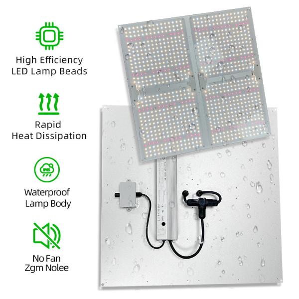 LED Grow Light 4X4 4X6FT Coverage 400W Full Spectrum LED Grow Light Panel For Hydroponic