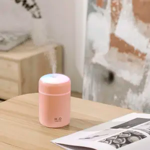 Customer Logo Mini Ultrasonic Atomizer USB Air Humidifier for Home Hotel Car School