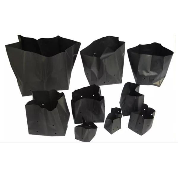 Полиэтиленовые мешки для черного выращивания