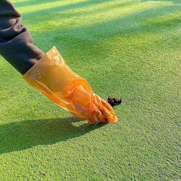 100% Compostable Cornstarchbags, Biodegradable Dog Poop Bags, Gloves Eco Friendly Pet Waste Bag, Doggie Poo, Extra