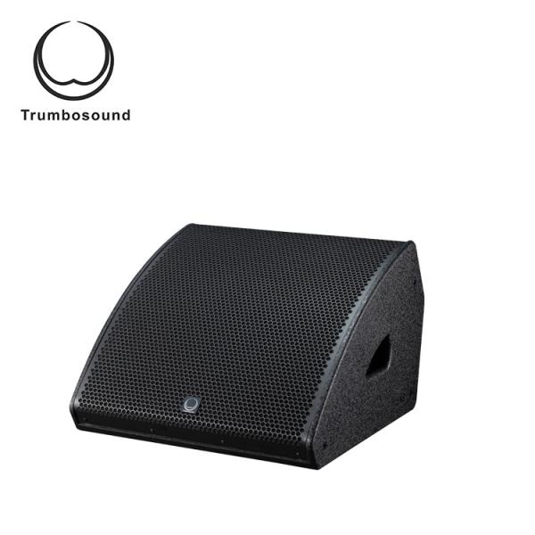15 inch top quality monitor speaker pro audio loudspeaker neo speaker made in China from manufacturer LA15M