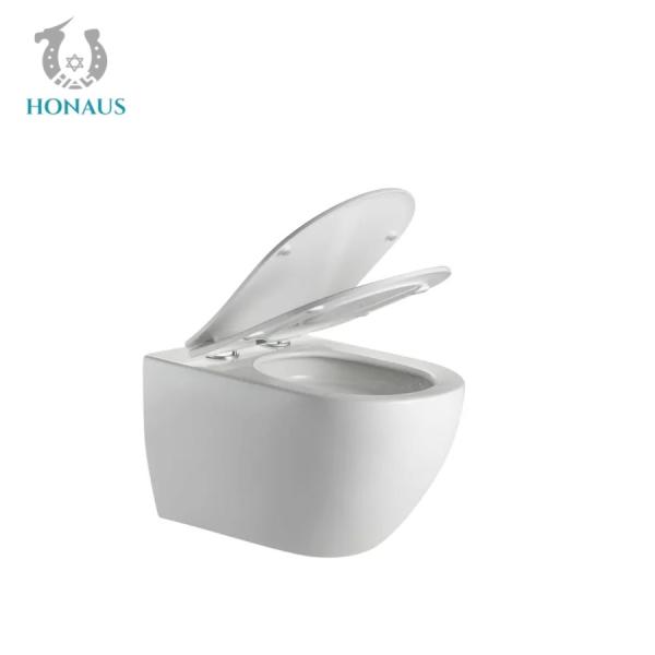 ROHS European Wall Mounted Toilet Bowl