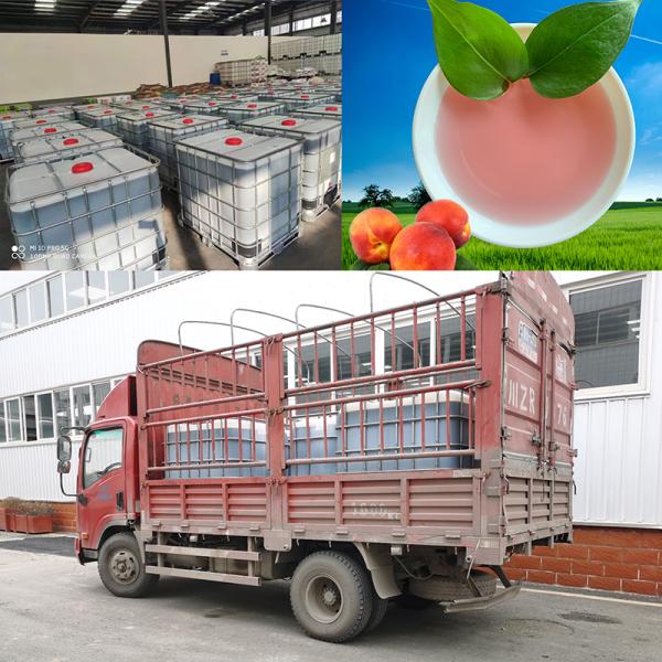 Líquido quelatado aminoácido orgánico rosado del boro del potasio para colorear de las frutas