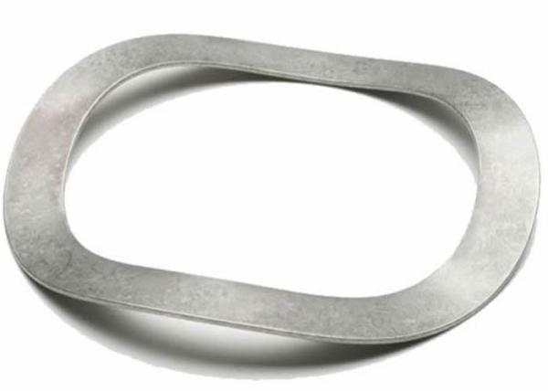 M2 M5 M10 Stainless Steel ANSI AISI 304 316 Curved Spring Washers GB860