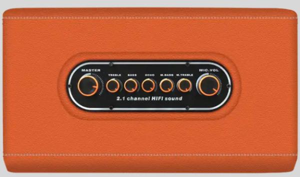 Popular Active Tws Portable Speaker USB 6.5 Inch Karaoke Speaker With Mics