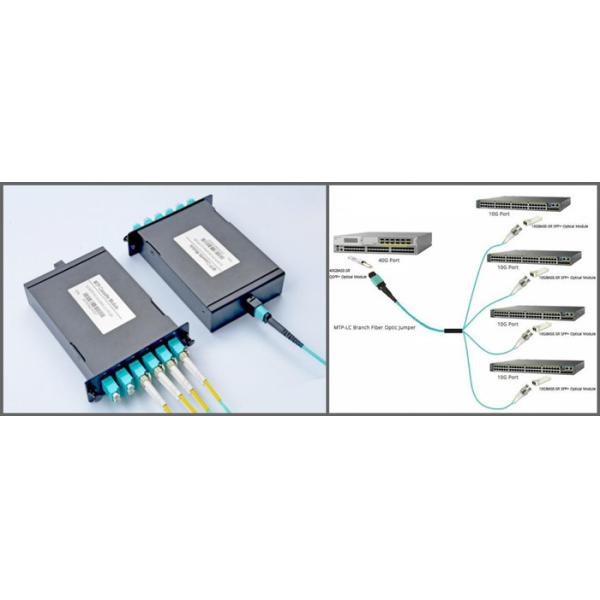 кассета дуплекса 50/125 мультимодная MTP 40Gb OM3 2x MPO-12