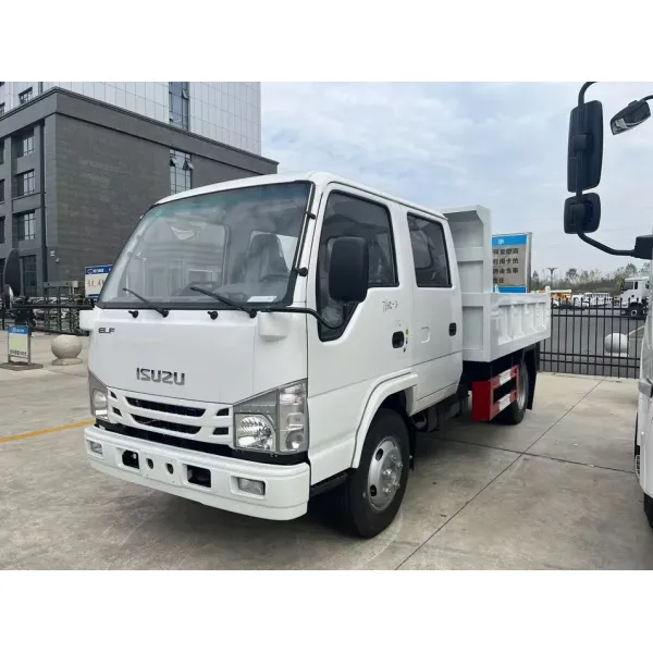 Isuzu Double Row Mini Dump Truck 3000L Dump Truck Factory Direct Supply