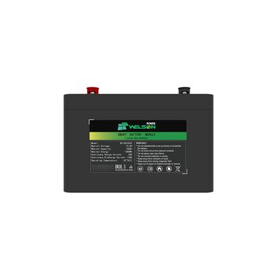 Ev Electric Vehicle Solar Lithium Iron Phosphate Battery 24 Volt LiFePO4 12V 100ah BMS