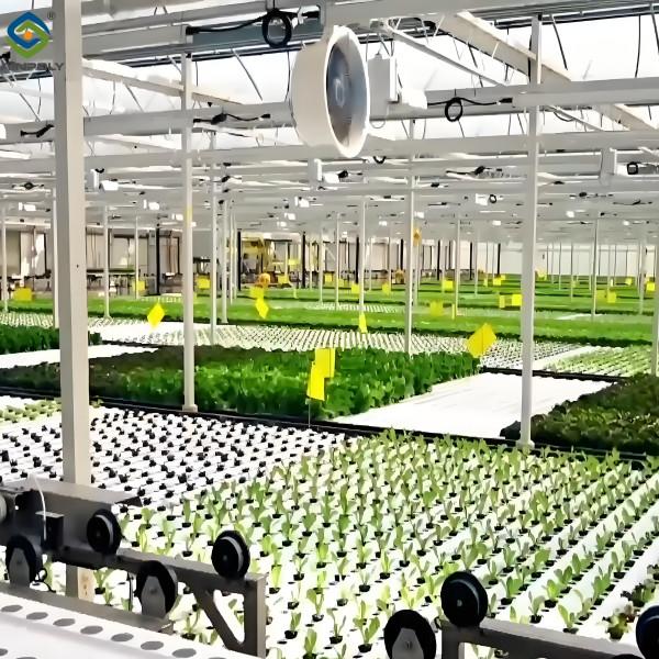 High Yield Agricultural Lettuce Greenhouse With Intelligent Control System