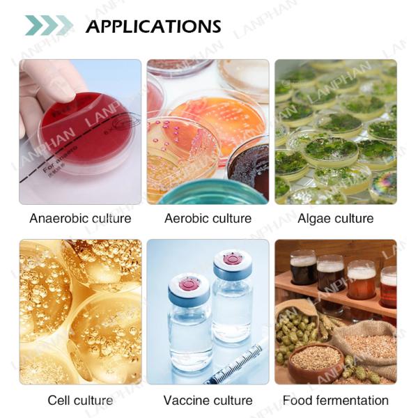 5l биореактор для культуры клеток животных автоклавируемый стеклянный биореактор микробический ферментатор