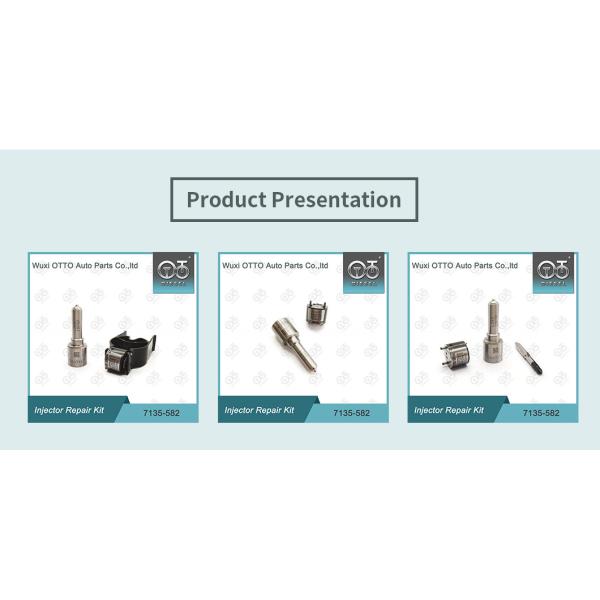 Комплект ремонта Delphi Injector Nozzle-CVA Kit 7135-582 для R00201D HMC U 1.1 1.4L 28235143