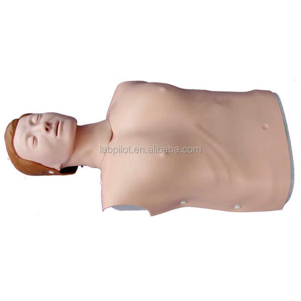Half Body CPR Training Manikin for Hospital Clinic and College CPR Technique Practice