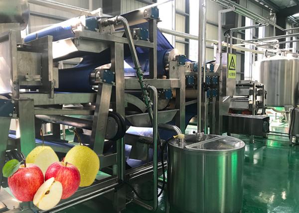 Food Standard SUS 304 Apple Processing Line Cold Press Fruit Juice Processing Line