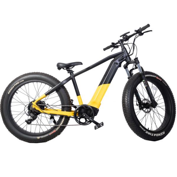 Customized Dual Motor Electric Mountain Bike with Central Motor and Max Speed 50km/h