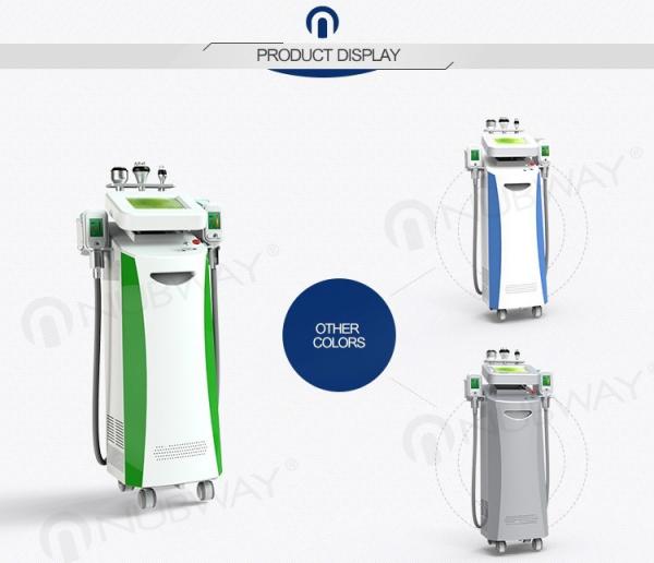 CE / FDA approved safety 5 cryo handle fat freezing cryolipolysis weight loss slimmming beauty mcahine