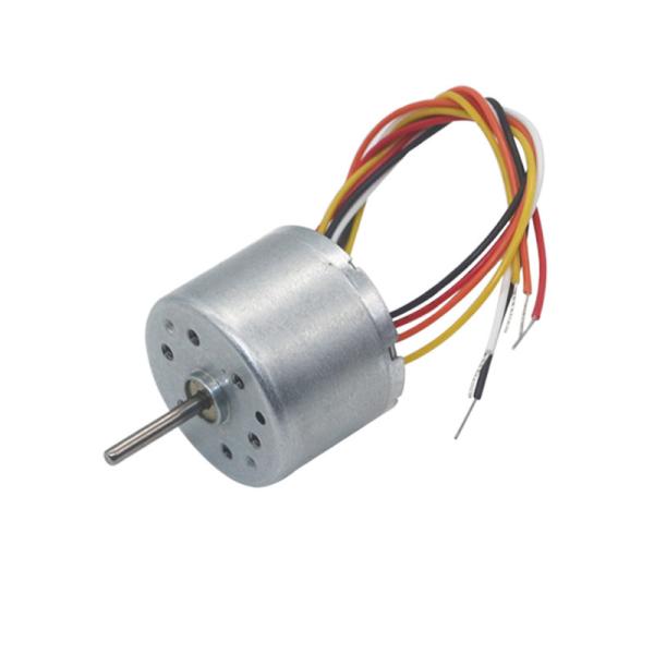 BLDC 2418 12v Small Brushless DC Motors 24v 8700rpm Permanent Magnet